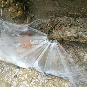蒋场镇消防管道漏水检测